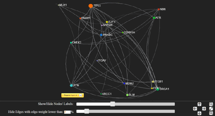 Dynamic Network Dynamic Network
