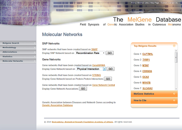 Dynamic Network Dynamic Network