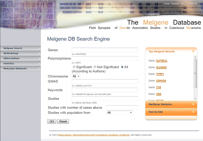 Search Engine Search Engine